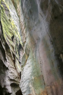 İsviçre Alplerindeki Aare Gorge 'da yeşil yosunlu büyük bir kaya oluşumu. Yosun, kayanın tüm yüzeyini kaplıyor. Doğal ve organik bir görüntü veriyor.