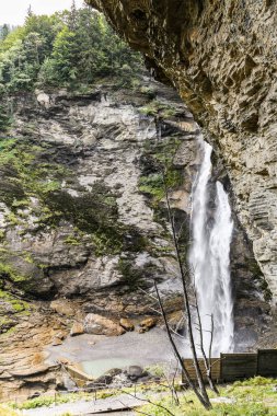İsviçre 'de bir Reichenbach şelalesi ön planda bir ağaçla birlikte uzakta görülmektedir. Sahne sakin ve huzurlu, şelale kayalardan aşağı akarken ve ağaç arka planda dimdik dururken.