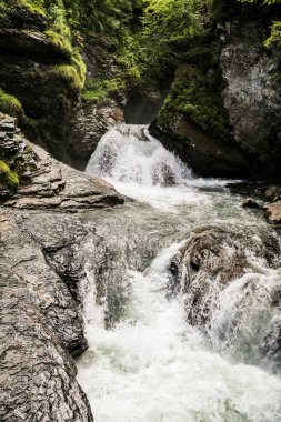 İsviçre 'de bir Reichenbach şelalesi kayalık bir uçurumdan aşağı akıyor. Su berrak ve kayalar gri. Huzurlu ve huzurlu bir sahne.