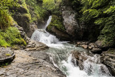 İsviçre 'de bir Reichenbach şelalesi kayalık bir uçurumdan aşağı akıyor. Su berrak ve kayalar gri. Huzurlu ve huzurlu bir sahne.