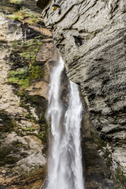 İsviçre şelalesindeki bir Reichenbach Şelalesi kayalık bir uçurumdan aşağı akıyor. Su berrak ve kayalar gri. Huzurlu ve huzurlu bir sahne.