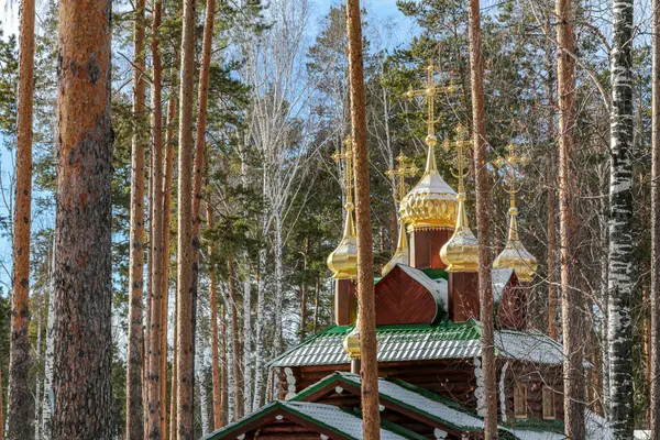 Yekaterenburg Rusya 'sında üzerinde altın kubbeler ve haç olan küçük tahta bir kilise. Kilise ağaçlar ve karlarla çevrili.