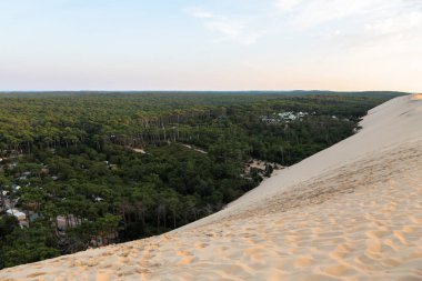 Akşamları Fransız Aquitaine 'deki Pilat kumulunun tepesinden orman manzarası