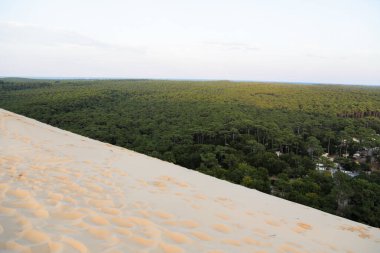 Akşamları Fransız Aquitaine 'deki Pilat kumulunun tepesinden orman manzarası