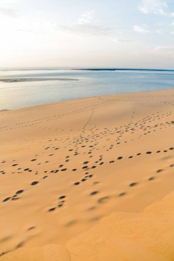 Arkasında kumlu bir plaj olan Fransa 'daki kumsal Pilat' ta okyanusun üzerinde güzel bir gün batımı. Gökyüzü bulutlarla dolu ve güneş batıyor, suyun üzerine sıcak bir parıltı saçıyor. Kumsal boş.