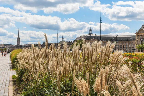 Bordeaux Fransa 'da bir patikada yürüyen birkaç kişinin olduğu uzun bir çim tarlası. Gökyüzü bulutlu ve güneş parlıyor