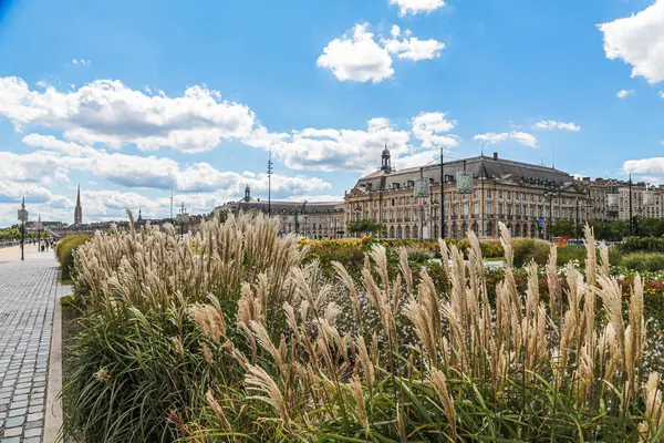 Bordeaux Fransa 'da bir patikada yürüyen birkaç kişinin olduğu uzun bir çim tarlası. Gökyüzü bulutlu ve güneş parlıyor