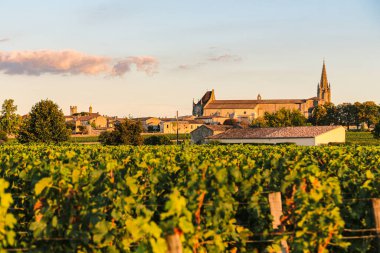 Gün batımında şato üzüm bağı. Fransa 'nın St. Emilion kasabasında sıcak bir gün ışığı. Binada keskinlik.