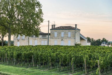 Fransa 'nın St. Emilion kentindeki sıcak günbatımında üzüm bağı olan bir şatonun yol manzarası. Şato binasının pencereleri kapalı.