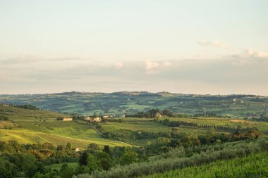 İtalya 'nın Toskana bölgesinde yeşil otantik bir vadinin akşam manzarası. Uzakta birçok ev, üzüm bağları ve diğer bitkiler görülebilir..