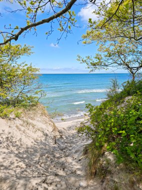 Kaliningrad Rusya 'sında Baltık Denizi' ne giden yolu olan bir sahil. Gökyüzü mavi ve su sakin.