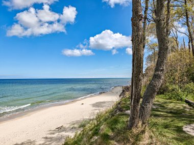 Kaliningrad Rusya 'sında Baltık Denizi' nin arka planında su birikintisi olan bir sahil. Gökyüzü mavi ve bazı bulutlar var.