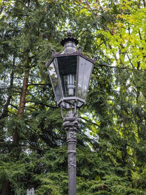 Cam kürede parlayan bir lamba direği. Işık yanıyor ve lamba direği ağaçlarla çevrili.