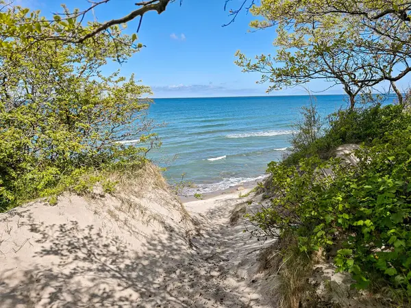 Kaliningrad Rusya 'sında Baltık Denizi' ne giden yolu olan bir sahil. Gökyüzü mavi ve su sakin.