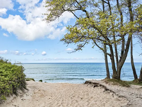 Kaliningrad Rusya 'sında Baltık Denizi' ne giden yolu olan bir sahil. Gökyüzü mavi ve su sakin.