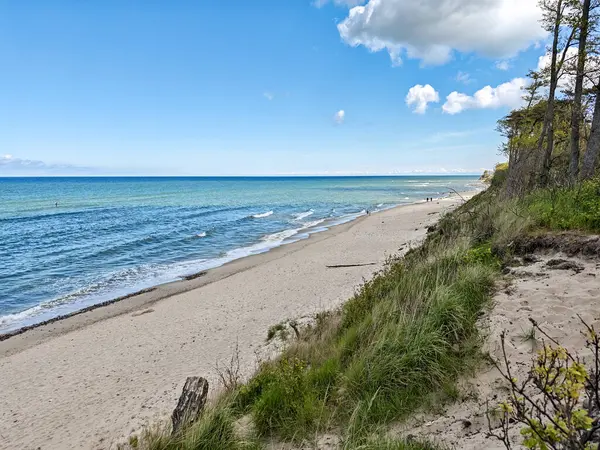 Kaliningrad Rusya 'sında Baltık Denizi' nin arka planında su birikintisi olan bir sahil. Gökyüzü mavi ve bazı bulutlar var.