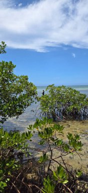 Bermudan kıyıları, el değmemiş plajlar, kristal berrak sular ve canlı bir kültürle Karayip yaşam tarzını özetliyor, sizi dinlenmeye, keşfetmeye ve nefes kesici güzelliğin tadını çıkarmaya davet ediyor.