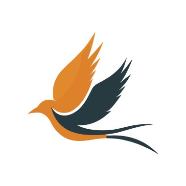 Kuş vektör logo tasarım şablonu