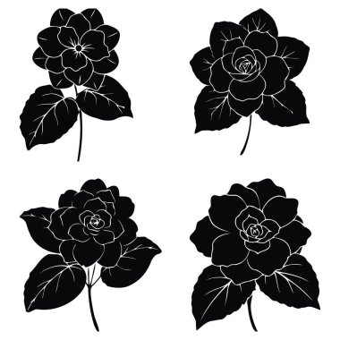 Siyah begonya çiçekli siluetleri beyaza yerleştir.