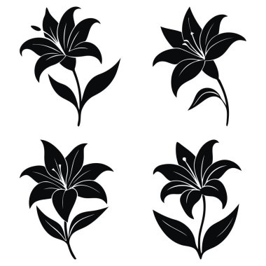 Beyaz arka planda siyah zambak çiçekleri