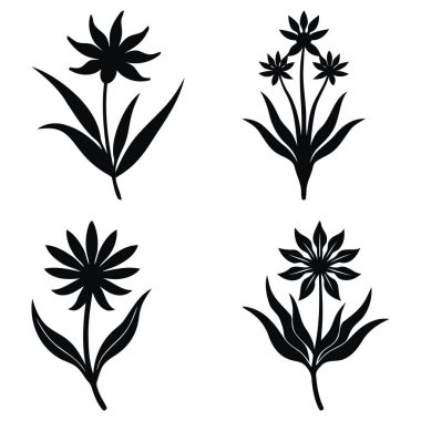 Kanguru pençesi çiçek siluetlerini beyaz kağıda yerleştir