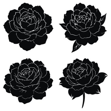 Siyah gülleri beyaz arkaplanda bir vektöre yerleştir