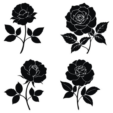 Siyah gül vektör grafiklerini beyaz arkaplana ayarla