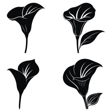 Siyah zambak çiçekli tasarımları beyaz arka plan sanatına ayarla