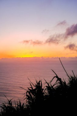 Okyanusun üzerinde huzurlu ve huzurlu bir gün batımı, uçurumun kenarında, ön planda siluetli otlar var..