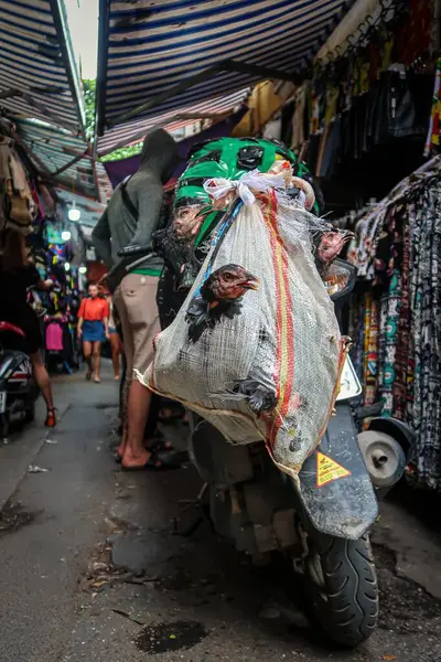 Bir adam motosikletiyle bir çanta dolusu kuşu Hanoi 'deki hareketli bir sokak pazarından geçirip şehir yaşamının ve hayvan ticaretinin zıtlığını yakalıyor..