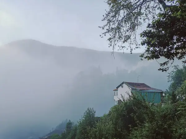 Yoğun yeşilliklerle çevrili sisli bir yamaçta ıssız bir ev Madeira 'da sakin bir atmosfer yaratıyor..