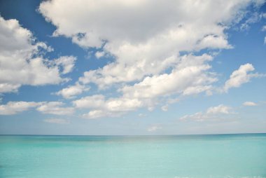 Bir çöl manzarasında dromedary devenin yüzüne yakın çekim. Hayvan ağzını biraz açarak ileriye bakıyor..