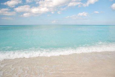 Bir çöl manzarasında dromedary devenin yüzüne yakın çekim. Hayvan ağzını biraz açarak ileriye bakıyor..