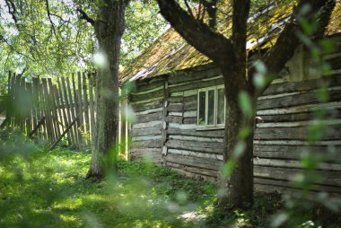 Yosun gibi çatılı eski ahşap kulübe ve yazın gölgeli bir orman bahçesinde kırsal çitler..