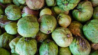 Doğal kusurları olan taze yeşil guavaların yakın çekimleri, Kamboçya 'da yerel bir markette bir araya getirildi..