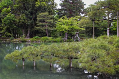 Su üzerinde çam ağaçları büyüyen geleneksel Japon bahçesi, ahşap kazıklar ve arka planda bir taş fener ile desteklenmektedir..