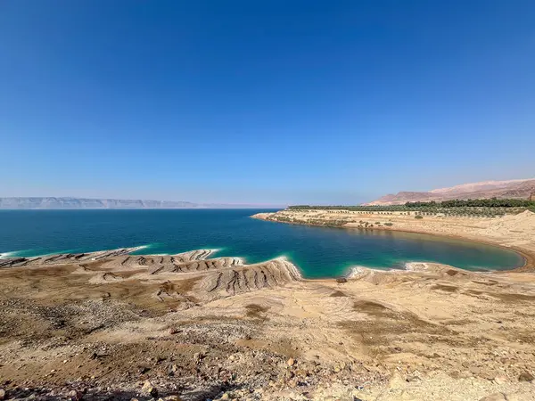 Ürdün 'deki ölü deniz kıyıları turkuaz su, mineral oluşumları ve açık mavi gökyüzü altında çöl manzarası ile.