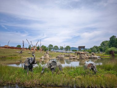 Uçsuz bucaksız bir çevrede filler, arka planda ormanlık tepeler ve mavi gökyüzü olan bir gölet ve çimenli bir arazi..