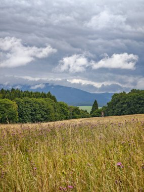 Uzun otları, orman kenarları ve dramatik bulutlu gökyüzü altındaki tepeleri olan yabani çiçek çayırı.