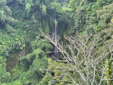 Natural Hill, Lembang, West Java, Endonezya 'daki kamp alanında bulunan şelalenin ya da Curug Anom' un doğal güzelliği. 30 Aralık 2024
