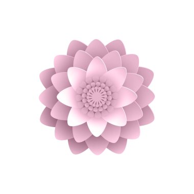 Pembe arka planı olan güzel bir çiçek.