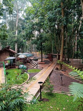 Ormandaki güzel ahşap evin dikey görüntüsü.