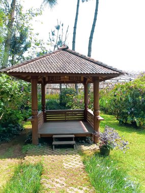 Parkın güzel manzarası