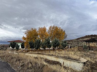 yeşil ve sarı ağaçlar küçük ev.