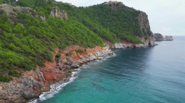 kayalık deniz kıyısı yeşil ağaçlarının panoramik görüntüsü