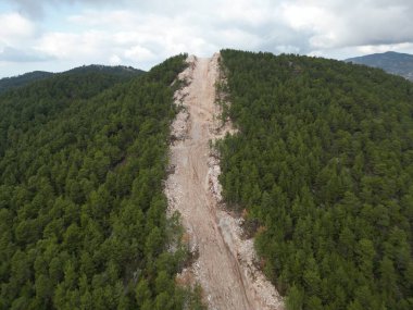 Dağlarda asfaltsız yol kozalaklı orman