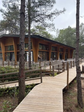 Parktaki güzel ahşap bina kozalaklı ağaçlar