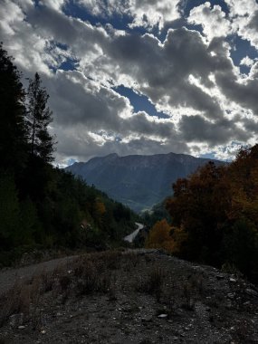 road in the mountains in autumn coniferous trees clipart