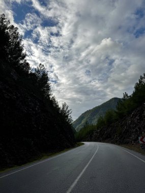 Dağlarda yol sonbahar ağaçlarını bulutlandırır.