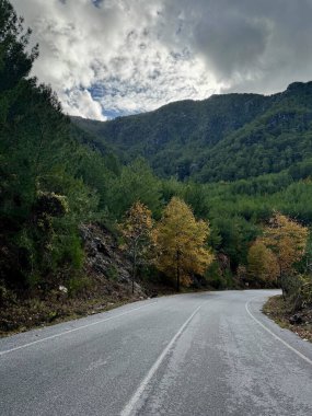 Dağlarda yol sonbahar ağaçlarını bulutlandırır.